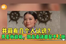 井莉男星收割机，狄龙秦沛都配不上她，婚后15年被抛弃视频封面