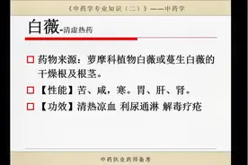 白薇，清热凉血，利尿通淋，解毒疗疮