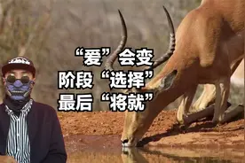 爱是会变的，是阶段性表现，大局观的“将就”