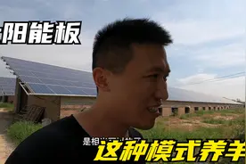 羊圈上面用太阳能板可以吗？既能养羊还能发电，实拍给大家介绍下视频封面