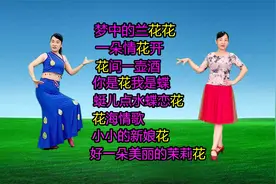 《梦中的兰花花》《一朵情花开》《花海情歌》《小小的新娘花》视频封面