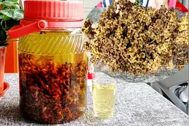 酒量不好的看过来！教你泡拐枣酒，可以醒酒安神，学会就喝不醉了