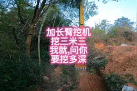 加长臂挖机挖三米三，你们见过没，我就，问你要挖多深，，，，，