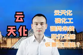 云天化 磷化工强势来袭 股价还能恢复至高峰？#股票视频封面