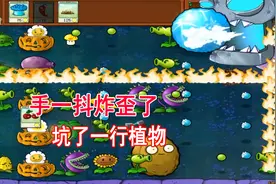 植物大战僵尸：决战僵王+全图鉴僵尸，勇敢背头不怕困难