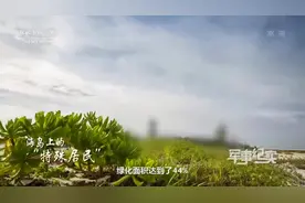厉害了！解放军种树种到南海，西沙群岛上惊现“海上绿洲”视频封面
