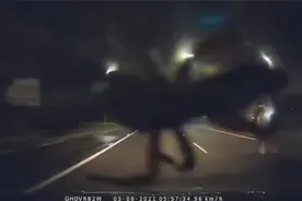 澳大利亚一巨大猎人蜘蛛突然出现在汽车挡风玻璃上 吓坏司机视频封面