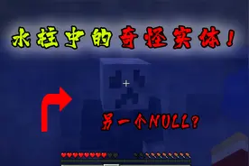 我的世界：藏在神秘种子-NULL的奇怪实体！