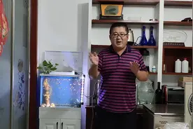 孔雀鱼缸铺底砂好不好？4点好处2个缺点，余月为何建议裸缸养鱼？