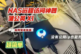 【内网穿透教程】NAS远程访问神器：蒲公英X1 没有公网ip也能用！