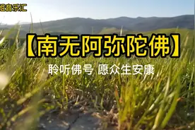 佛教纯音乐【南无阿弥陀佛】冥想减压 缓解疲劳 放松身心视频封面