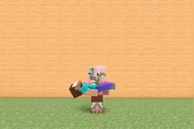 我的世界：史蒂夫，快来享受怪物小队的公主抱吧！