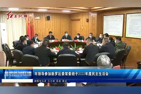 龙岩市领导参加新罗区委常委班子2022年度民主生活会