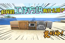 这些村民的工作方块，只有老玩家才了解它们的用处