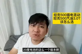 坦克500插电混动和纯汽油3.0T版，怎么选