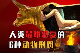 最残忍的6种动物刑罚：山羊舔脚心，让人在极度快乐中死去？视频封面
