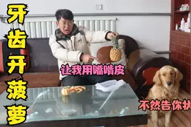 金毛让小亮用牙齿去菠萝皮，不然就向他媳妇告密，小亮该怎么办？视频封面