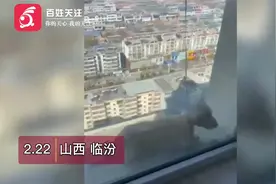 山西警方通报学生高空扔狗：3人行政处罚1人要求家长严管视频封面