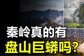 秦岭真的有盘山巨蟒吗？世界上最大的蛇到底有多大？视频封面