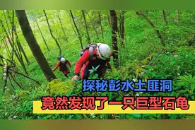 探秘彭水桑柘镇土匪洞，竟然发现了一只巨型石龟，全国罕见！视频封面