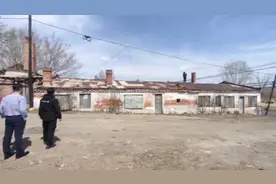 凶猛藏獒出笼，民警果断击毙！视频封面