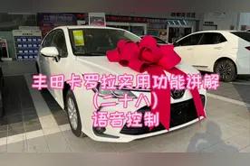 丰田卡罗拉实用功能讲解（二十八）语音控制