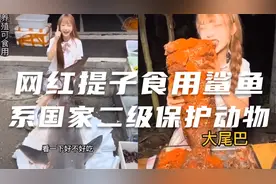 网红提子吃鲨鱼，已被证实，系国家二级保护动物大白鲨！