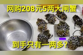 网购208元8只“5两大闸蟹”，到手最小一两多，真的差那么多吗