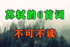 苏轼的6首诗词，让你看破人间万事！太经典了，我读了6遍视频封面