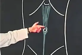 05斯坦福大学公开课：临床解剖学 人类腹壁解剖图视频封面