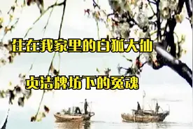 民间故事：_住在我家里的白狐大仙_贞洁牌坊下的冤魂视频封面
