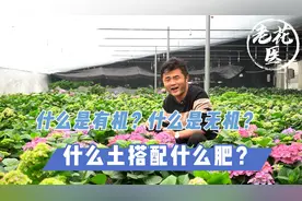 什么是有机和无机？什么土搭配什么肥？养花必懂小知识视频封面