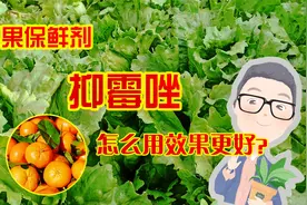 柑橘、香蕉水果保鲜剂抑霉唑，还能用于哪些作物，防治哪些病害？