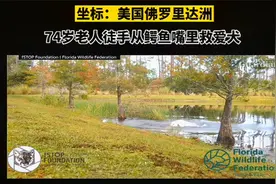 74岁老人徒手从鳄鱼嘴里救爱犬视频封面