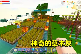 迷你世界高级生存601：神奇的草木灰方块，加快农作物生长速度