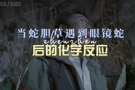 当吃蛇胆草之后继续帮吸眼镜蛇毒后产生的化学反应视频封面