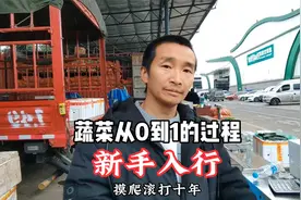 新手入行蔬菜批发从0到1的过程