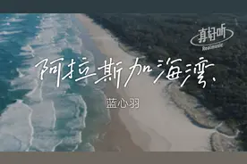 蓝心羽 - 阿拉斯加海湾【完整版】动态歌词LyricsVideo | 高音质