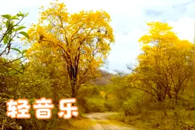 毛主席诗词欣赏：恰同学少年，风华正茂；书生意气，挥斥方遒。视频封面