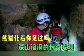 小伙探险神秘山洞，发现熊猫化石，究竟是什么时代形成的视频封面