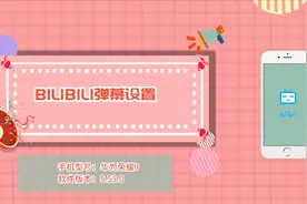 bilibili弹幕设置