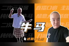 这是什么梗：牛马？纯纯的小牛马？视频封面