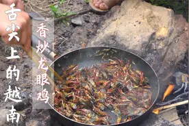 尹阮氏｜龙眼鸡，越南人爱炒的一种花花绿绿的东西