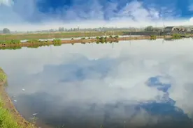 警惕新挖鱼塘切记不可马上放鱼，以及有哪些常见问题及处理方法？视频封面