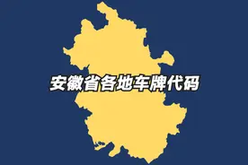 安徽省各地车牌代码，合肥芜湖蚌埠占前三位，你看出排序规则了吗视频封面