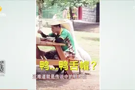 鹈鹕用嘴给人遮阳？饲养员回应：它想和我玩！