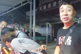 山东蟋蟀市场全国最大，为啥都来河南收虫子？山东老板说实话了！视频封面