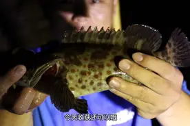 小伙在跨海大桥底下冒雨钓鱼，钓到天黑，收获不错，还有大石斑