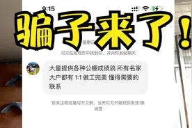 转发给身边爱买名家天落的朋友，让他们看看赛鸽造假有多猖獗！
