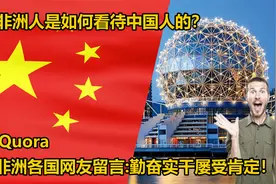 非洲人是如何看待中国人的？非洲网友直呼：勤奋实干屡受肯定！视频封面